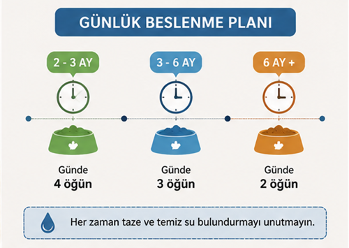 beslenme rehberi