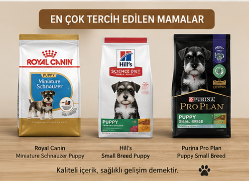 schnauzer tercih edilen mama
